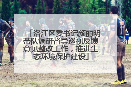 洛江区委书记颜丽明带队调研督导巡视反馈意见整改工作，推进生态环境保护建设