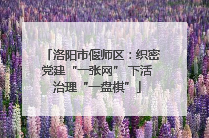 洛阳市偃师区：织密党建“一张网” 下活治理“一盘棋”
