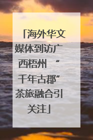 海外华文媒体到访广西梧州 “千年古郡”茶旅融合引关注