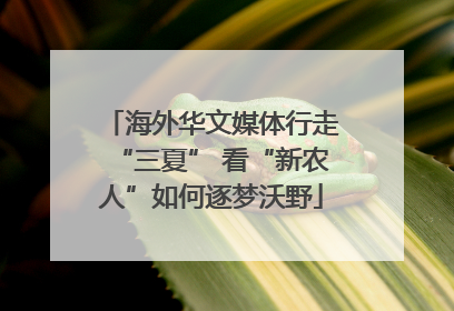 海外华文媒体行走“三夏” 看“新农人”如何逐梦沃野