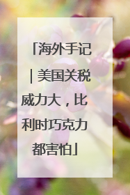 海外手记｜美国关税威力大，比利时巧克力都害怕