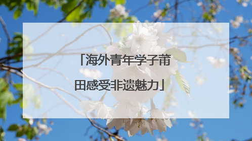 海外青年学子莆田感受非遗魅力