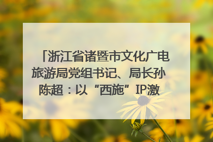 浙江省诸暨市文化广电旅游局党组书记、局长孙陈超：以“西施”IP激活全域旅游 打造县域文旅融合新标杆｜第七届全国县域旅游研究成果发布系列活动