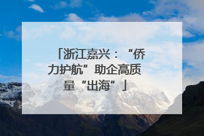 浙江嘉兴：“侨力护航”助企高质量“出海”