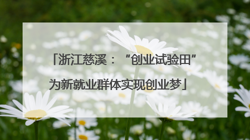 浙江慈溪：“创业试验田”为新就业群体实现创业梦