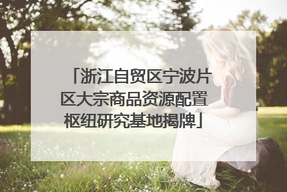 浙江自贸区宁波片区大宗商品资源配置枢纽研究基地揭牌