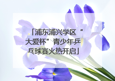 浦东浦兴学区“大爱杯”青少年乒乓球赛火热开启