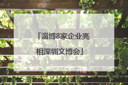 淄博8家企业亮相深圳文博会