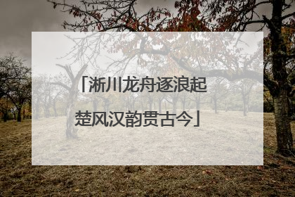 淅川龙舟逐浪起 楚风汉韵贯古今