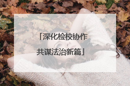 深化检校协作 共谋法治新篇