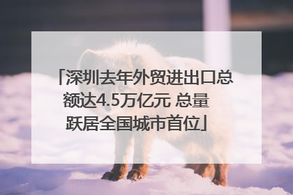 深圳去年外贸进出口总额达4.5万亿元 总量跃居全国城市首位