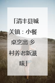清丰县城关镇：小餐桌烹出 乡村养老新滋味