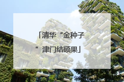 清华“金种子”津门结硕果