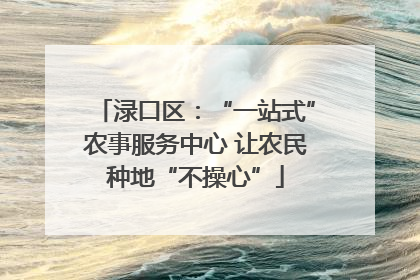 渌口区：“一站式”农事服务中心 让农民种地“不操心”
