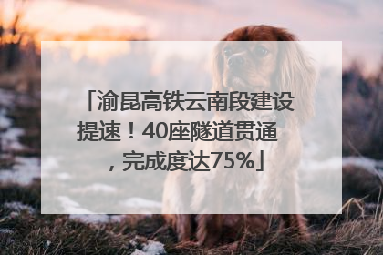渝昆高铁云南段建设提速！40座隧道贯通，完成度达75%