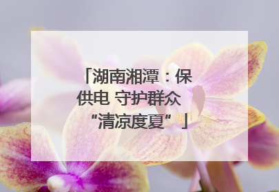 湖南湘潭：保供电 守护群众“清凉度夏”
