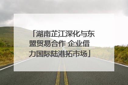 湖南芷江深化与东盟贸易合作 企业借力国际陆港拓市场