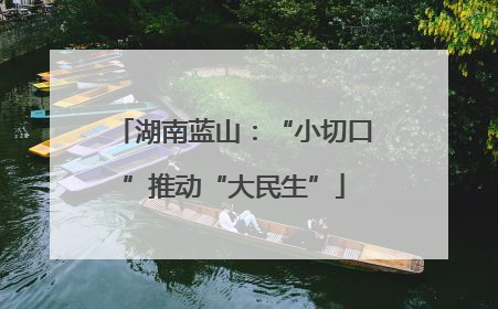 湖南蓝山：“小切口”推动“大民生”