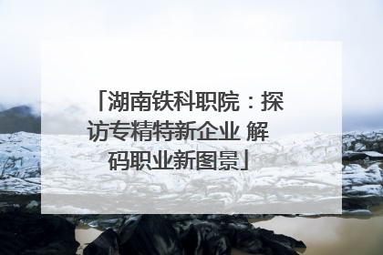 湖南铁科职院：探访专精特新企业 解码职业新图景