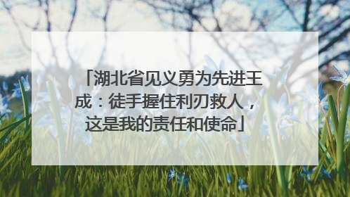 湖北省见义勇为先进王成：徒手握住利刃救人，这是我的责任和使命