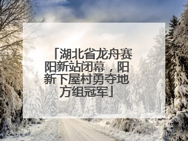 湖北省龙舟赛阳新站闭幕，阳新下屋村勇夺地方组冠军