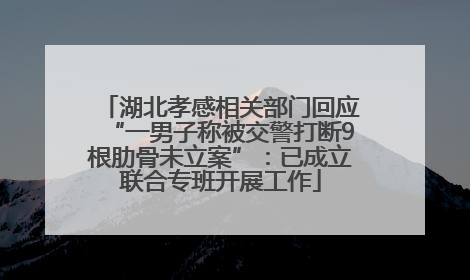 湖北孝感相关部门回应“一男子称被交警打断9根肋骨未立案”：已成立联合专班开展工作