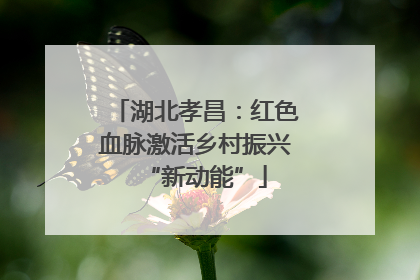 湖北孝昌：红色血脉激活乡村振兴“新动能”