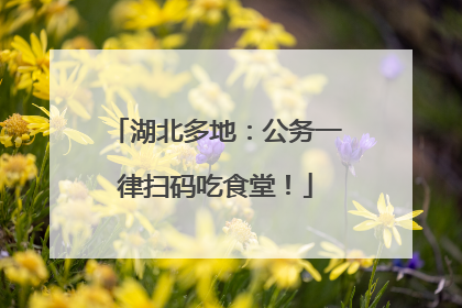 湖北多地：公务一律扫码吃食堂！