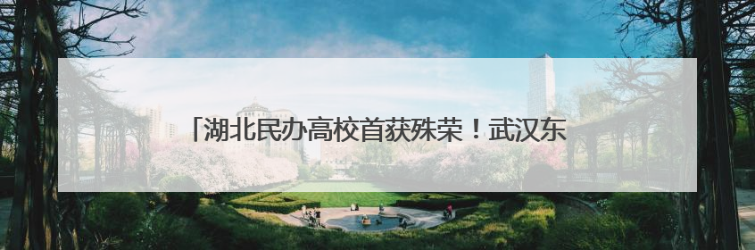 湖北民办高校首获殊荣！武汉东湖学院获评“全国文明校园”