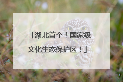 湖北首个！国家级文化生态保护区！