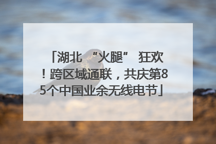 湖北 “火腿” 狂欢！跨区域通联，共庆第85个中国业余无线电节