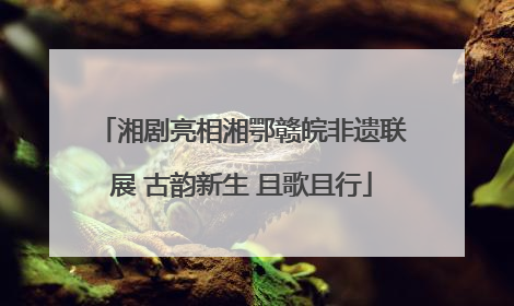 湘剧亮相湘鄂赣皖非遗联展 古韵新生 且歌且行