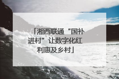 湘西联通“国补进村”让数字化红利惠及乡村