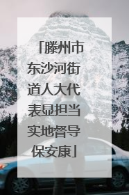 滕州市东沙河街道人大代表显担当实地督导保安康
