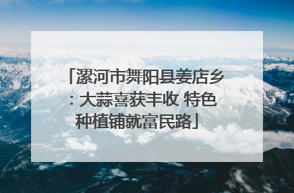漯河市舞阳县姜店乡：大蒜喜获丰收 特色种植铺就富民路