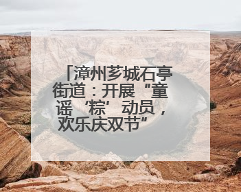 漳州芗城石亭街道：开展“童谣‘粽’动员，欢乐庆双节” 过端午，庆六一活动