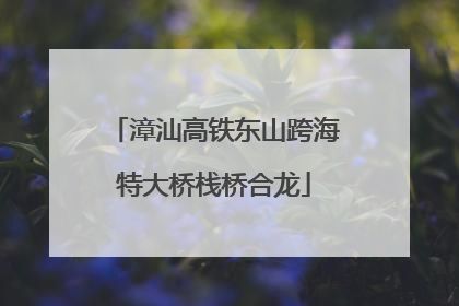 漳汕高铁东山跨海特大桥栈桥合龙