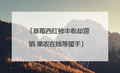 草莓西红柿丰收却滞销 果农在线等援手
