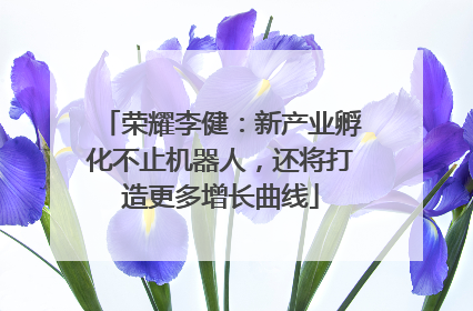 荣耀李健：新产业孵化不止机器人，还将打造更多增长曲线