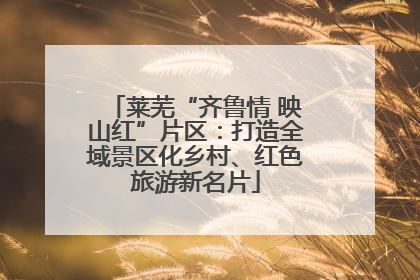 莱芜“齐鲁情 映山红”片区：打造全域景区化乡村、红色旅游新名片