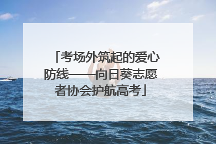 考场外筑起的爱心防线——向日葵志愿者协会护航高考