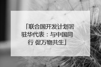 联合国开发计划署驻华代表：与中国同行 促万物共生