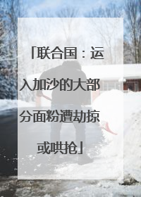 联合国：运入加沙的大部分面粉遭劫掠或哄抢