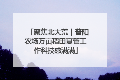 聚焦北大荒｜普阳农场万亩稻田夏管工作科技感满满