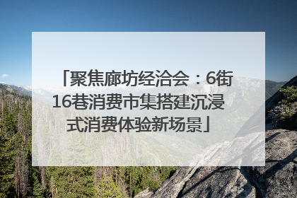 聚焦廊坊经洽会：6街16巷消费市集搭建沉浸式消费体验新场景