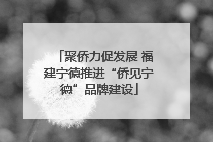聚侨力促发展 福建宁德推进“侨见宁德”品牌建设
