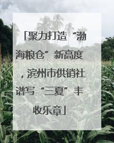 聚力打造“渤海粮仓”新高度，滨州市供销社谱写“三夏”丰收乐章