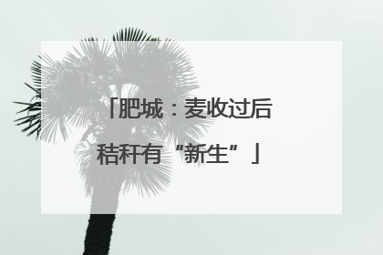 肥城：麦收过后秸秆有“新生”