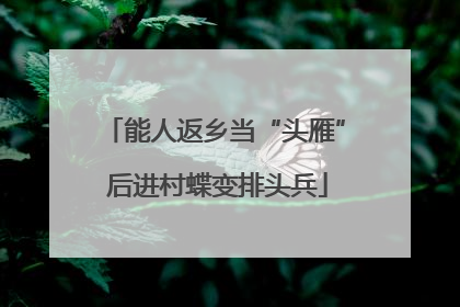 能人返乡当“头雁” 后进村蝶变排头兵