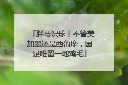 胖马识球丨不管美加墨还是西葡摩，国足唯留一地鸡毛